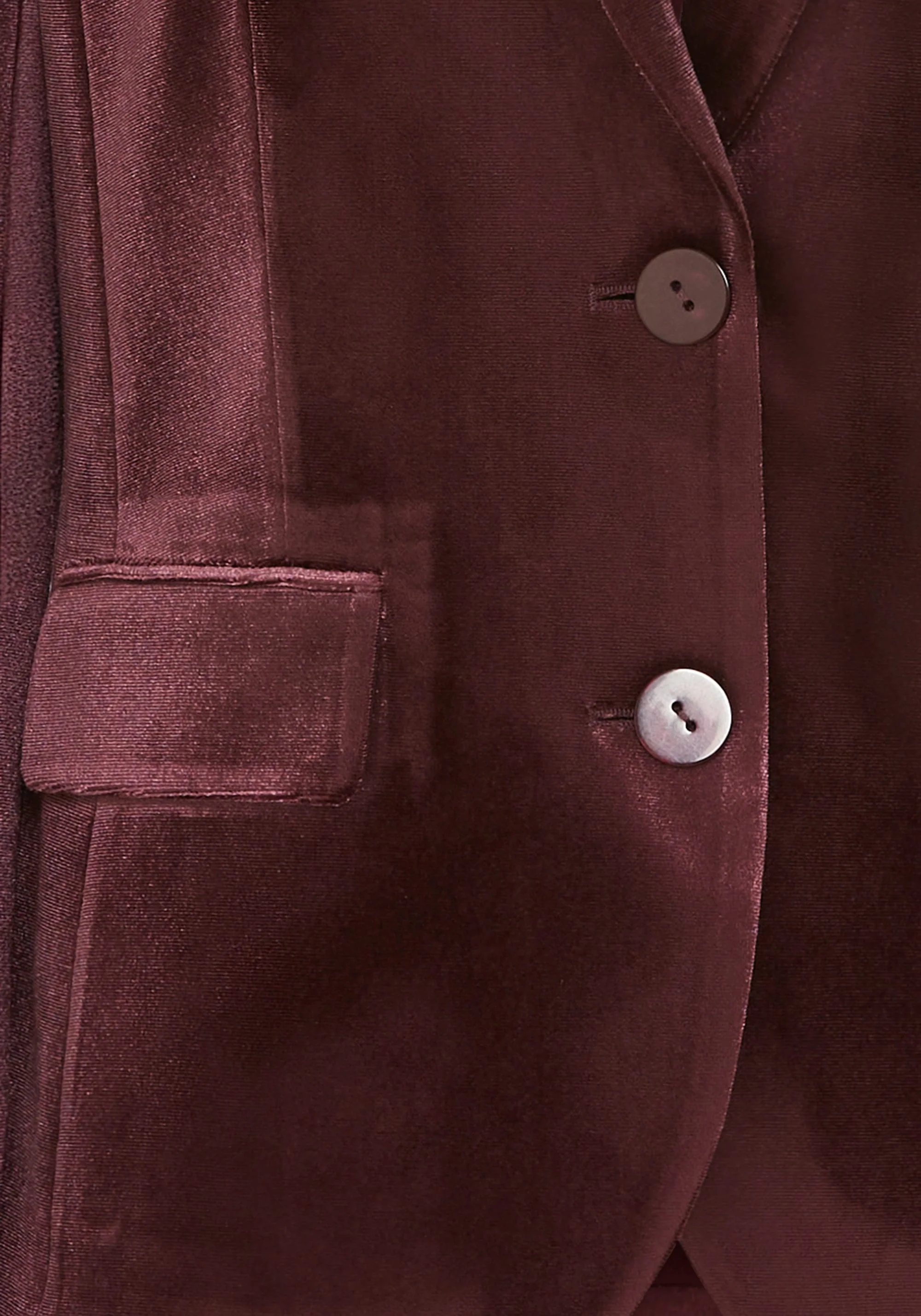 Velvet Blazer - Image 8